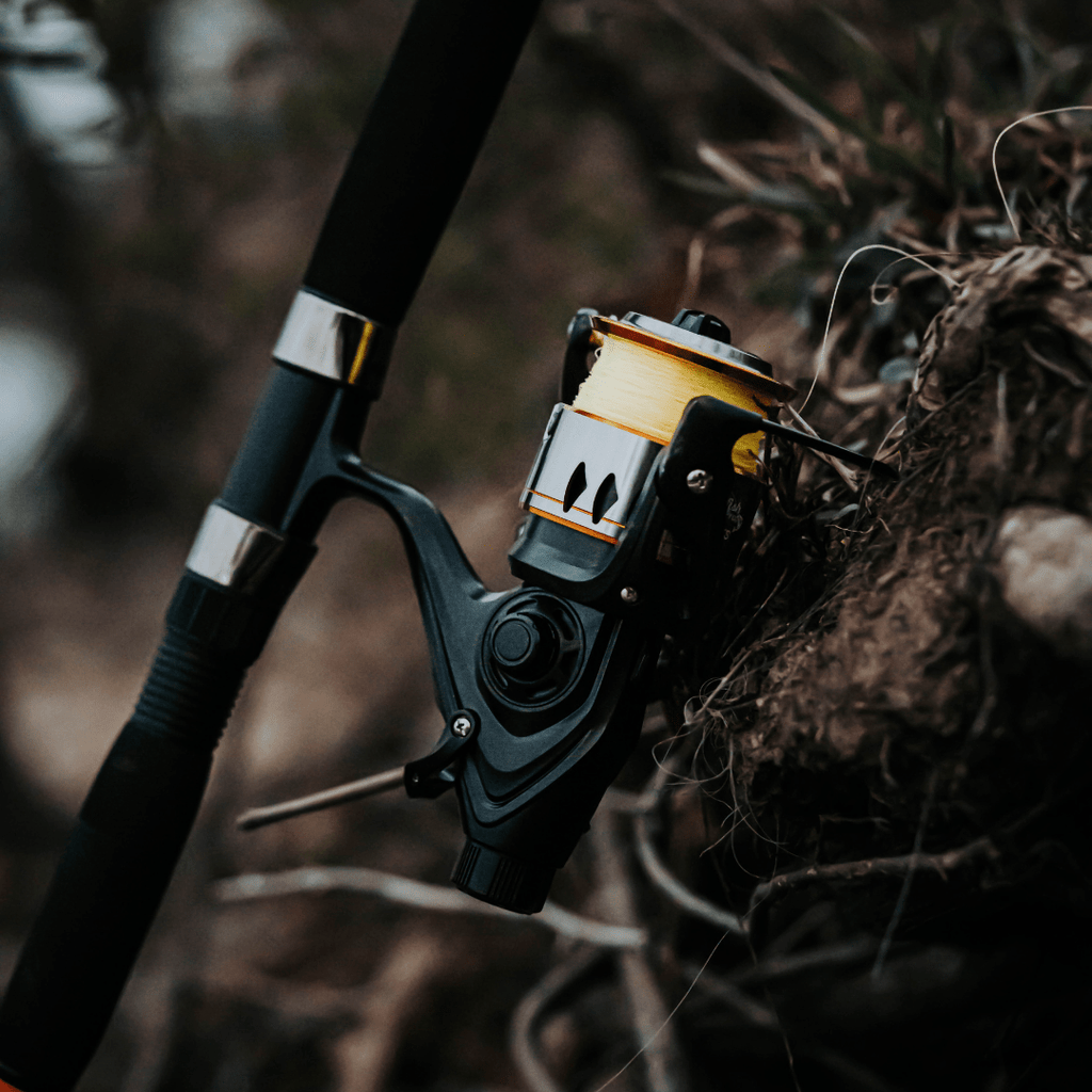 600STS Spinning Reel