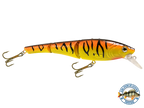 Head Hunter 8"