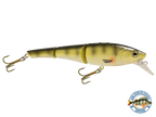 Head Hunter 8"